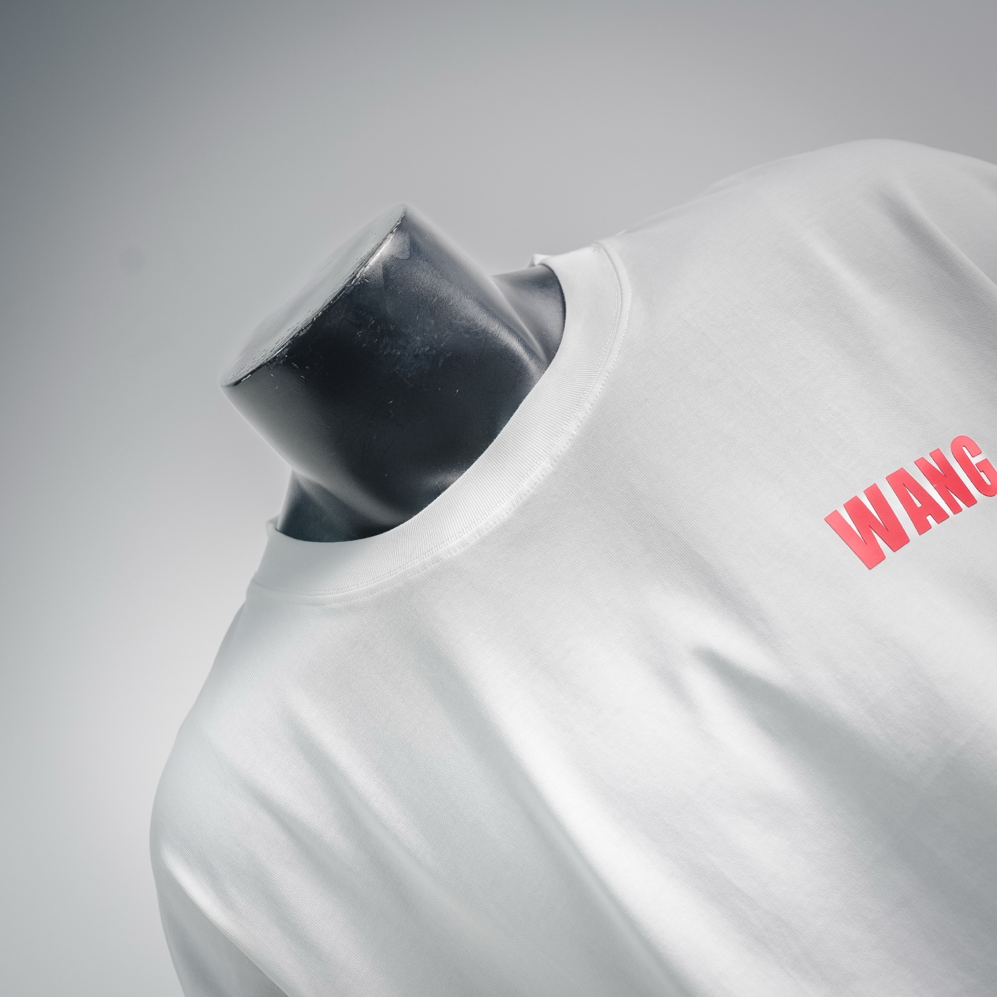 Alex 26ss print t-shirt