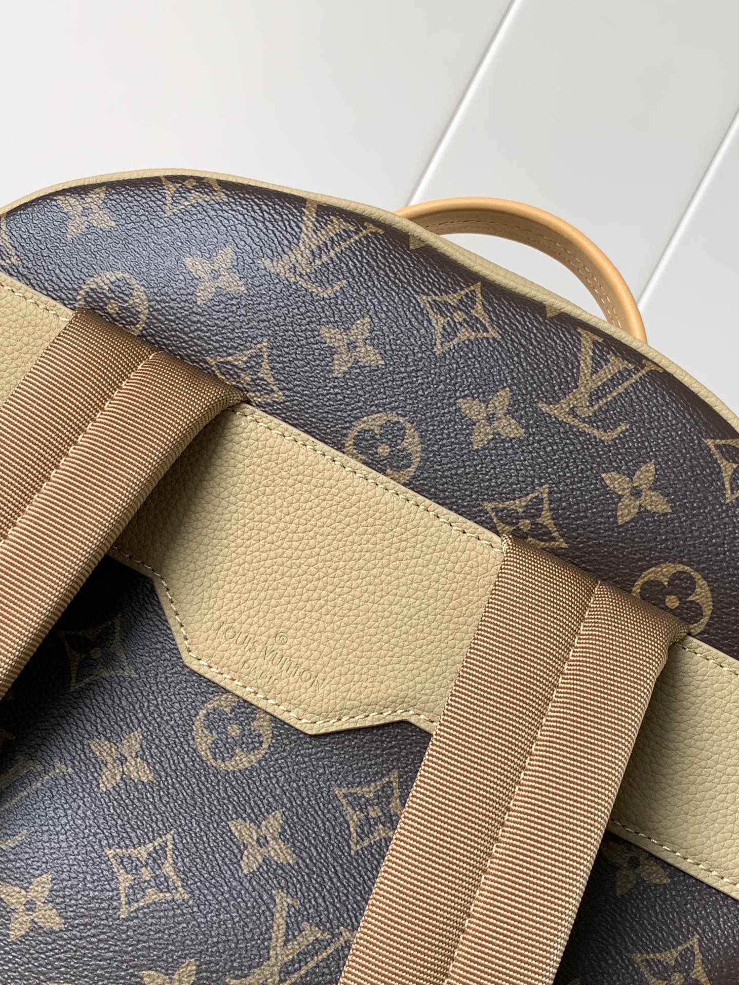 Louis monogram backpack